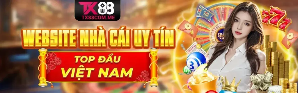 Lịch sử phát triển của Betvision